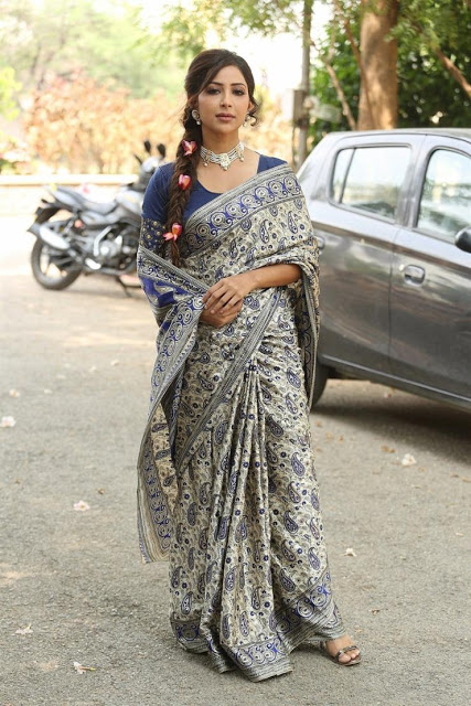 Beautiful Actress Kapilakshi Malhotra In Blue Saree 28
